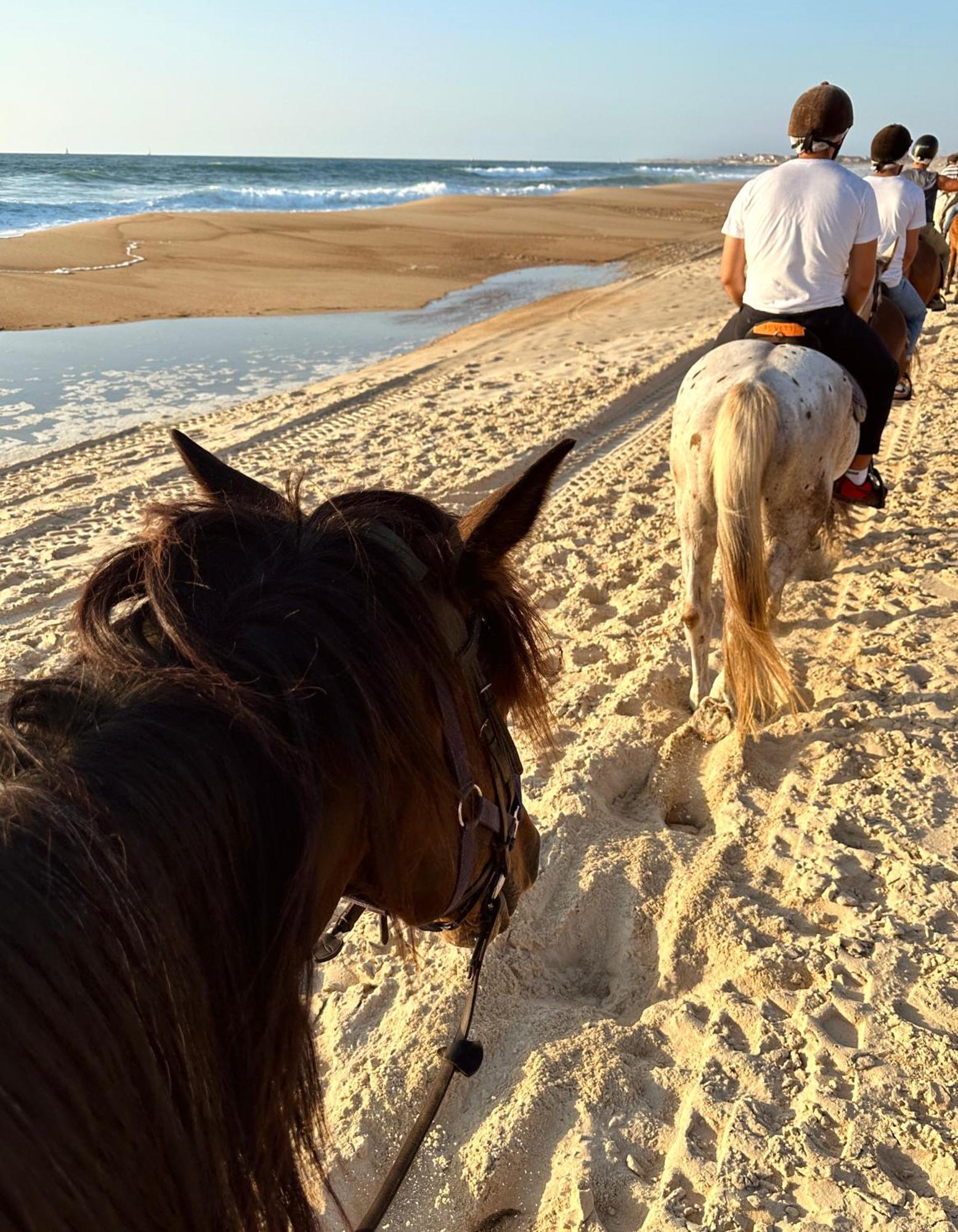 Aparra Surfcamp Capbreton Hotel Luaran gambar